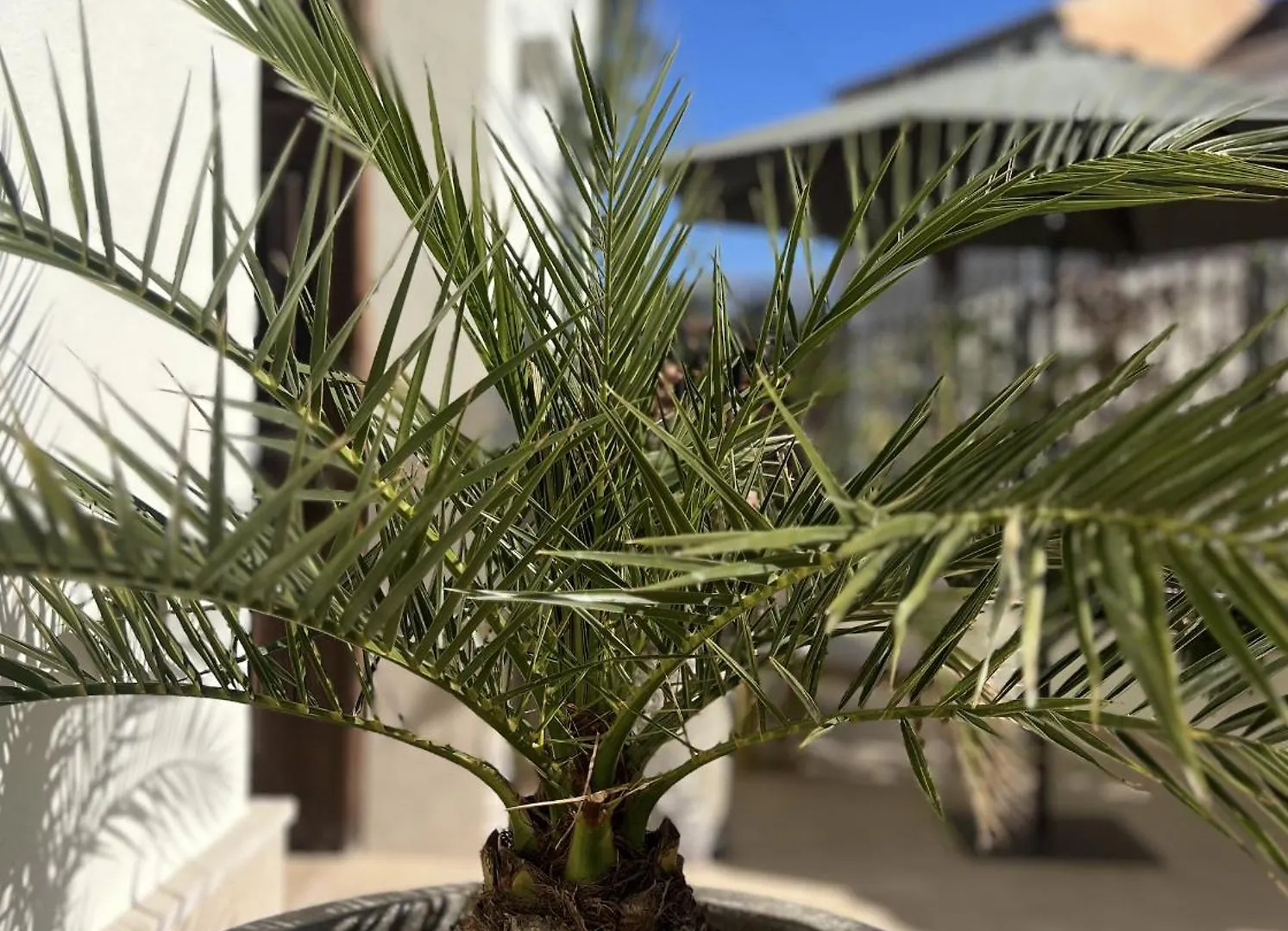 Elysium Luxury Stays Melegis 2*,  Spain